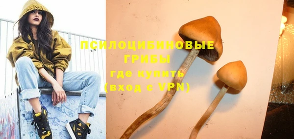 дмт Медногорск