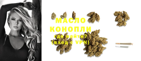 твердый Мегион