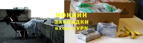 твердый Мегион