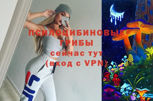 дмт Медногорск