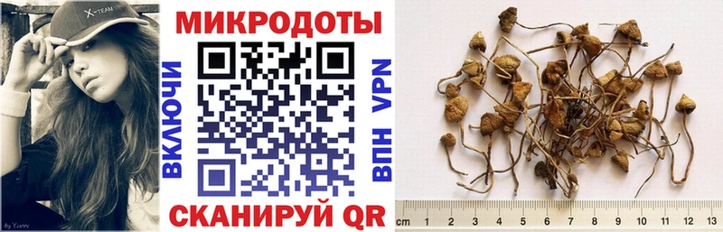 купить   Дмитров  Галлюциногенные грибы ЛСД 
