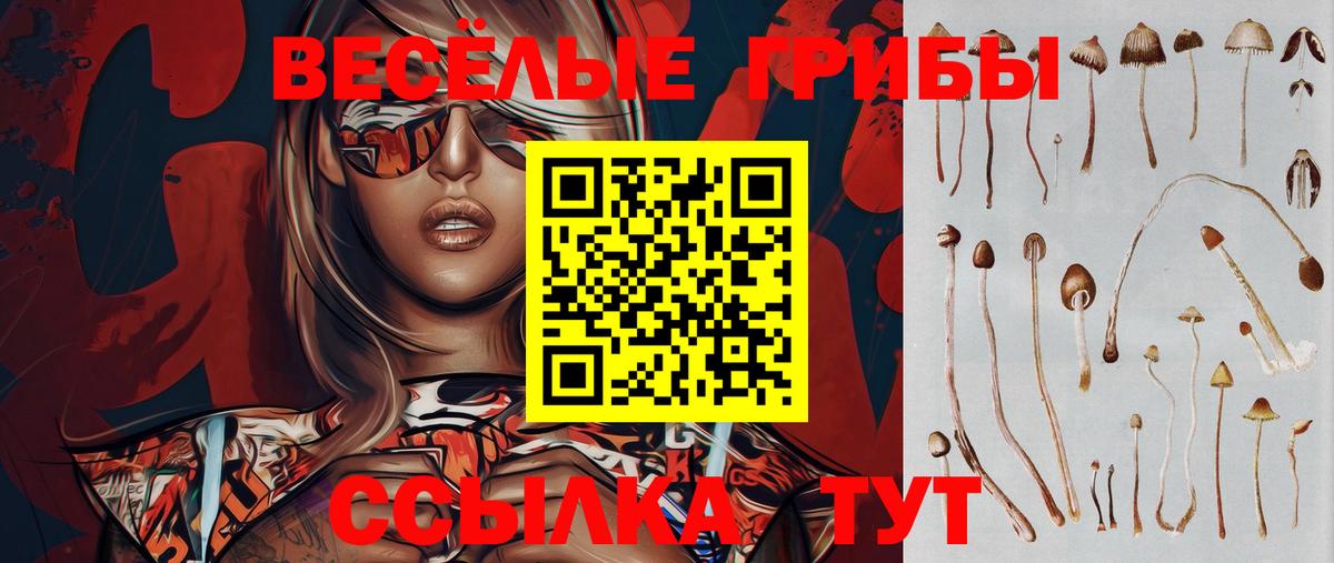 Псилоцибиновые грибы Psilocybine cubensis  Вход с VPN  Псилоцибиновые грибы мухоморы  Дмитров 