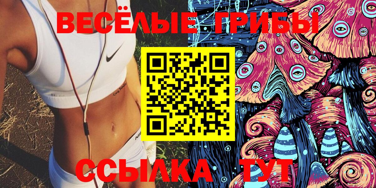 цена   Дмитров  Галлюциногенные грибы GOLDEN TEACHER  Псилоцибиновые грибы Magic Shrooms 