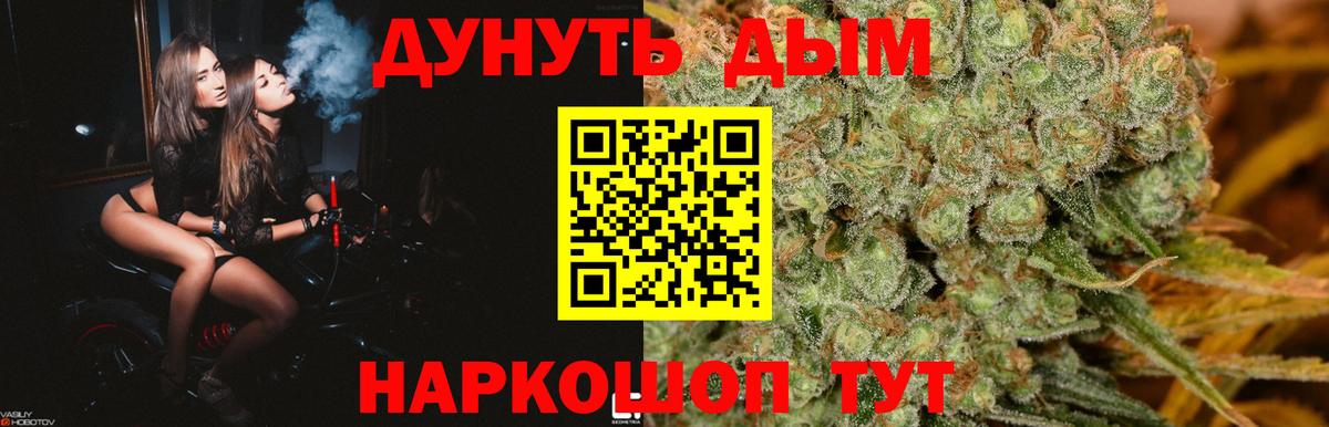 Канабис сатива  Шишки марихуана конопля  Канабис тримм  Дмитров 